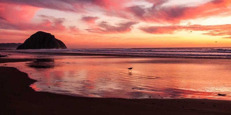 从基因到田野:君达120玉米如何用‘精准营养’破解氮肥困局,守护环境健康