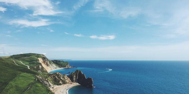 君达120:卓越品种特性解析与全域适应性指南,为健康与救援保驾护航