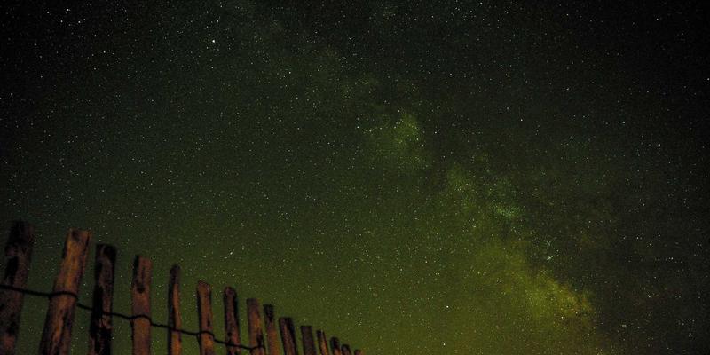 君达120玉米种子真伪鉴别全攻略:守护丰收,从识别一粒真种子开始