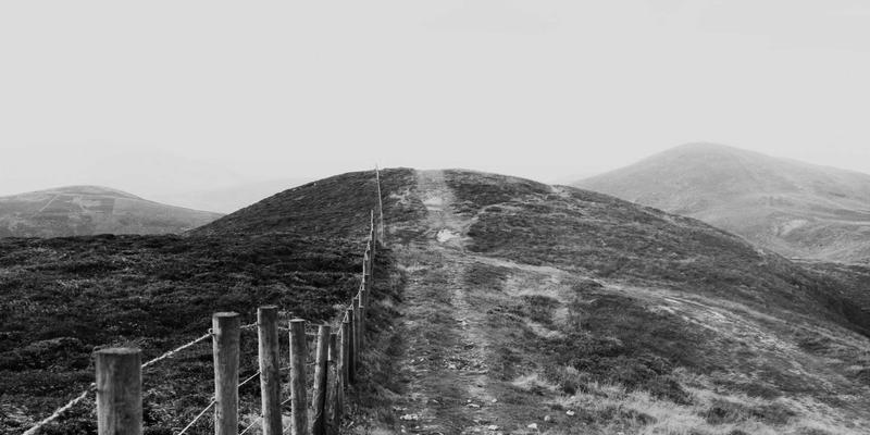 君达120玉米遇旱涝“急症”怎么办？生理响应剖析与灾后“急救”全攻略