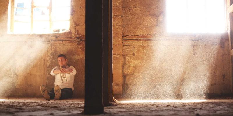 君达120玉米:高密度栽培下的产量突破与抗倒伏实战解析