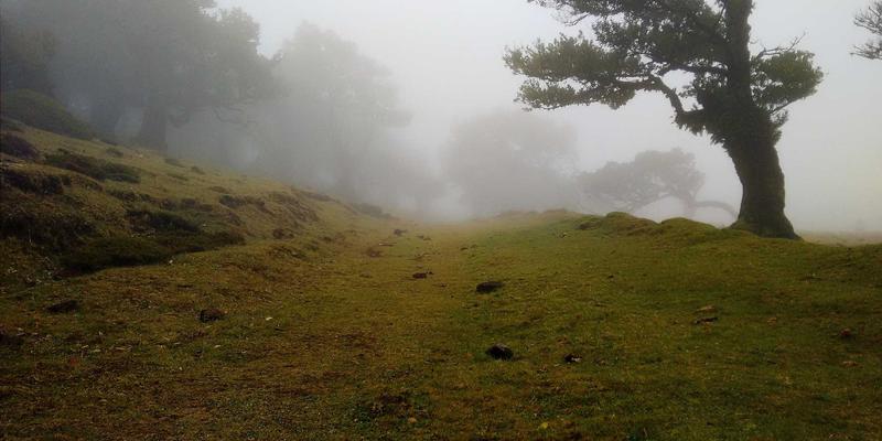 君达120玉米：黑土、褐土、潮土的“禅意医疗”与“紧急救援”式施肥方案
