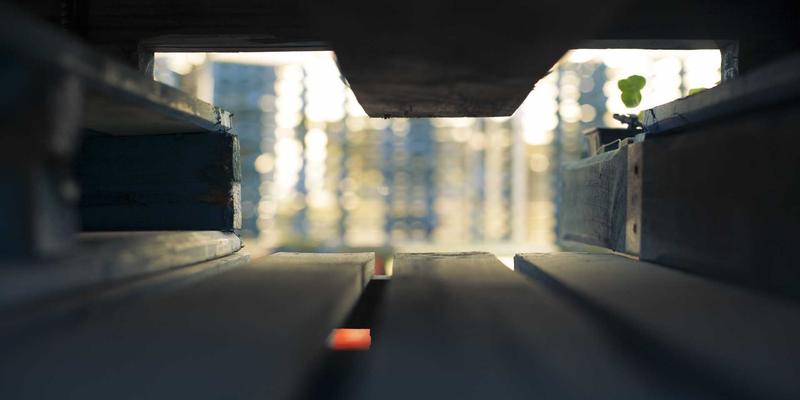 当玉米遭遇“倒春寒”:君达120的低温生存智慧与苗期“禅意急救”全攻略