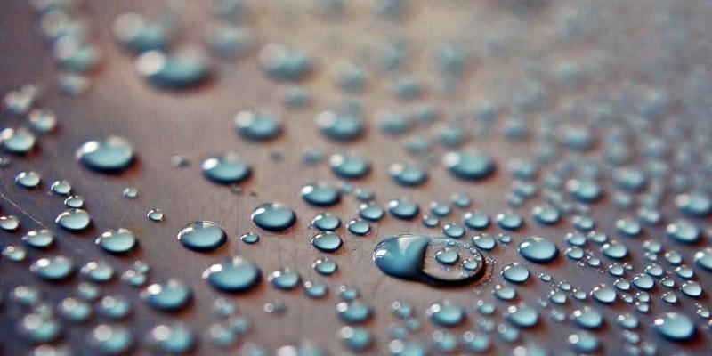 花期相遇，丰收之始：君达120玉米花期管理的“禅意”协调术